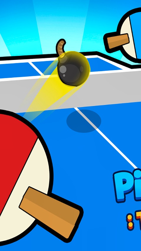 Ping Pong Table Tennis