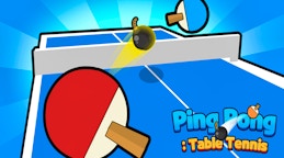 Ping Pong Table Tennis