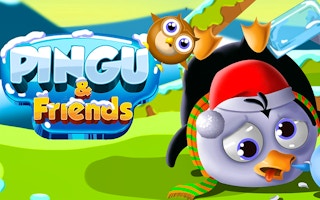 Pingu & Friends