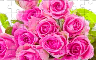 Pink Roses Puzzle game cover