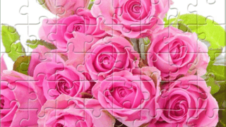 Pink Roses Puzzle