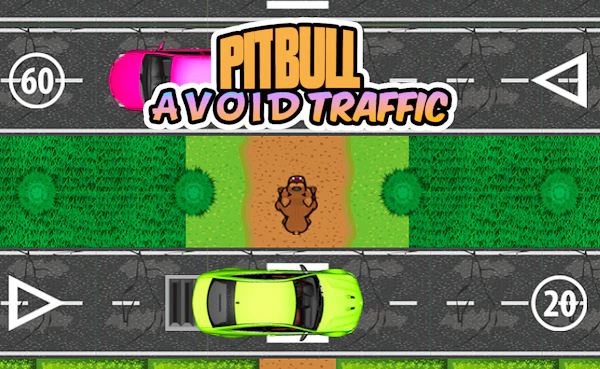Pit Bull Avoid Traffic