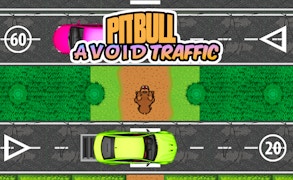 Pit Bull Avoid Traffic