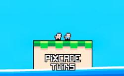 Pixcade Twins