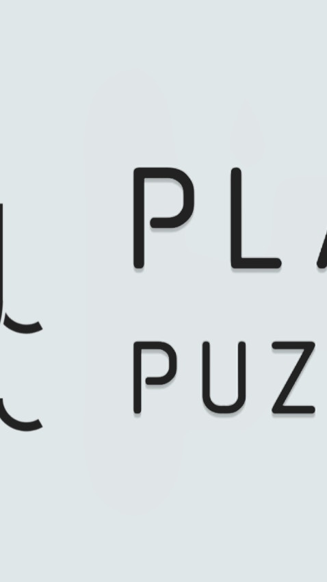 Plait Puzzle
