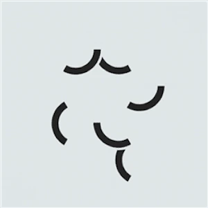 Plait Puzzle