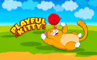 Playful Kitty