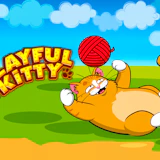 Playful Kitty