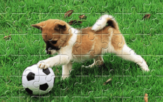 Playful Puppy Outdoor Puzzle game cover