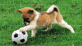 Playful Puppy Outdoor Puzzle