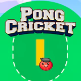 Pong Cricket