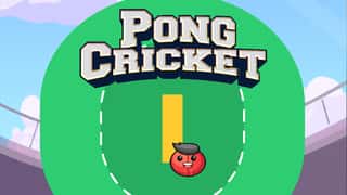Pong Cricket