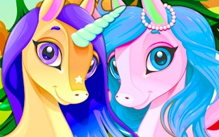 Pony Friendship game cover