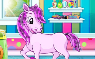 Pony Pet Salon game cover