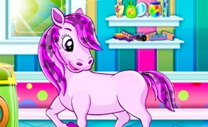 Pony Pet Salon game cover