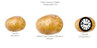 Potato Construct 2 Edition