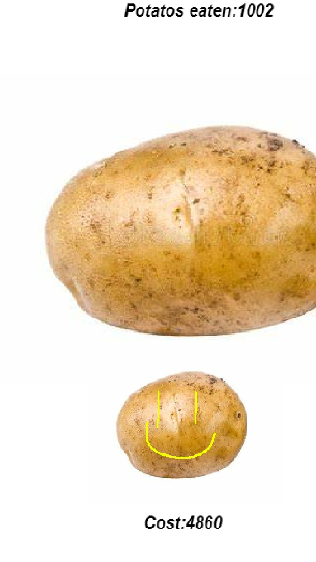 Potato