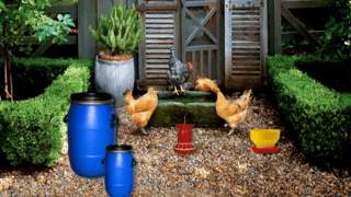 Poultry Farm Easter Escape