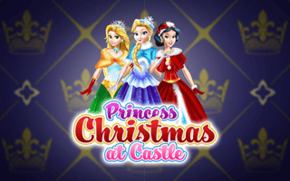 Princess Christmas at Castle