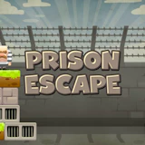 Prison Escape