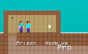 Prison Noob vs Pro