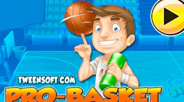Pro Basket
