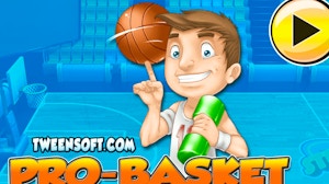 Image for Pro Basket