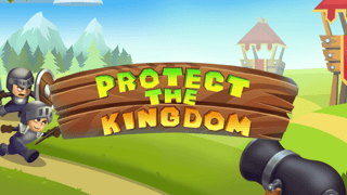 Protect The Kingdom game cover