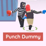 Punch Boxing for Dummy