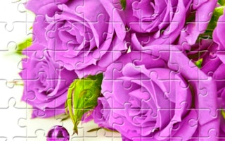 Purple Roses Puzzle game cover