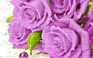 Purple Roses Puzzle game cover