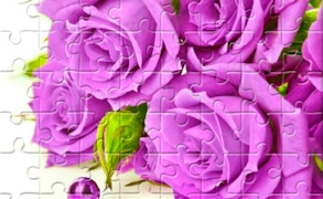 Purple Roses Puzzle game cover