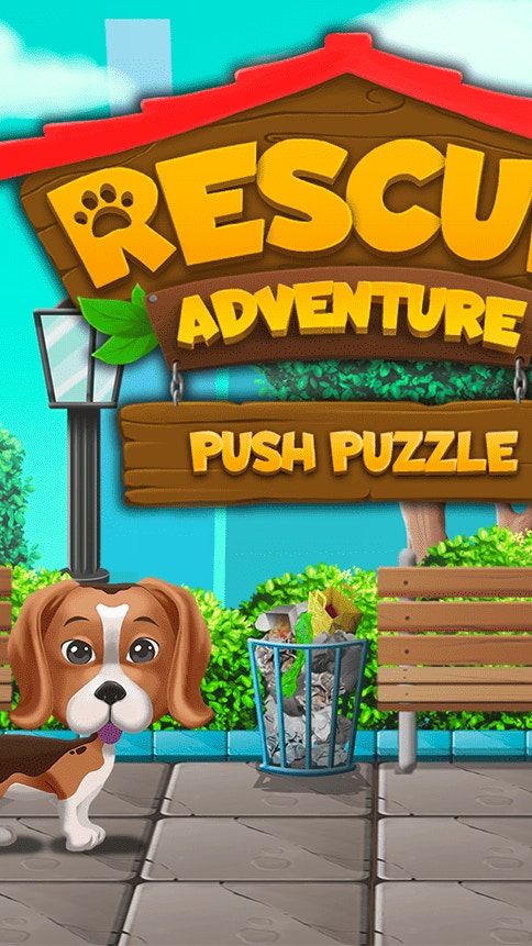 Push Puzzle Rescue Adventure