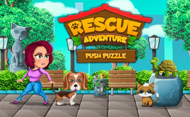 Push Puzzle Rescue Adventure