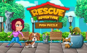 Push Puzzle Rescue Adventure