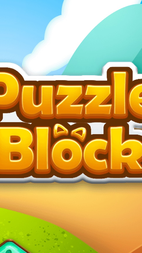 Puzzle Block