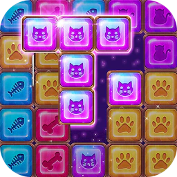 Puzzle Block