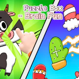 Puzzle Box Brain Fun