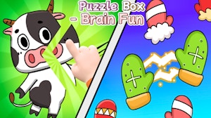 Image for Puzzle Box Brain Fun