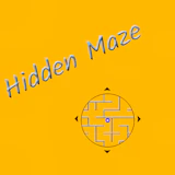 Hidden Maze