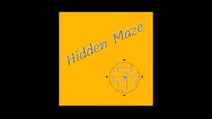 Image for Hidden Maze