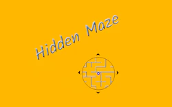 Hidden Maze