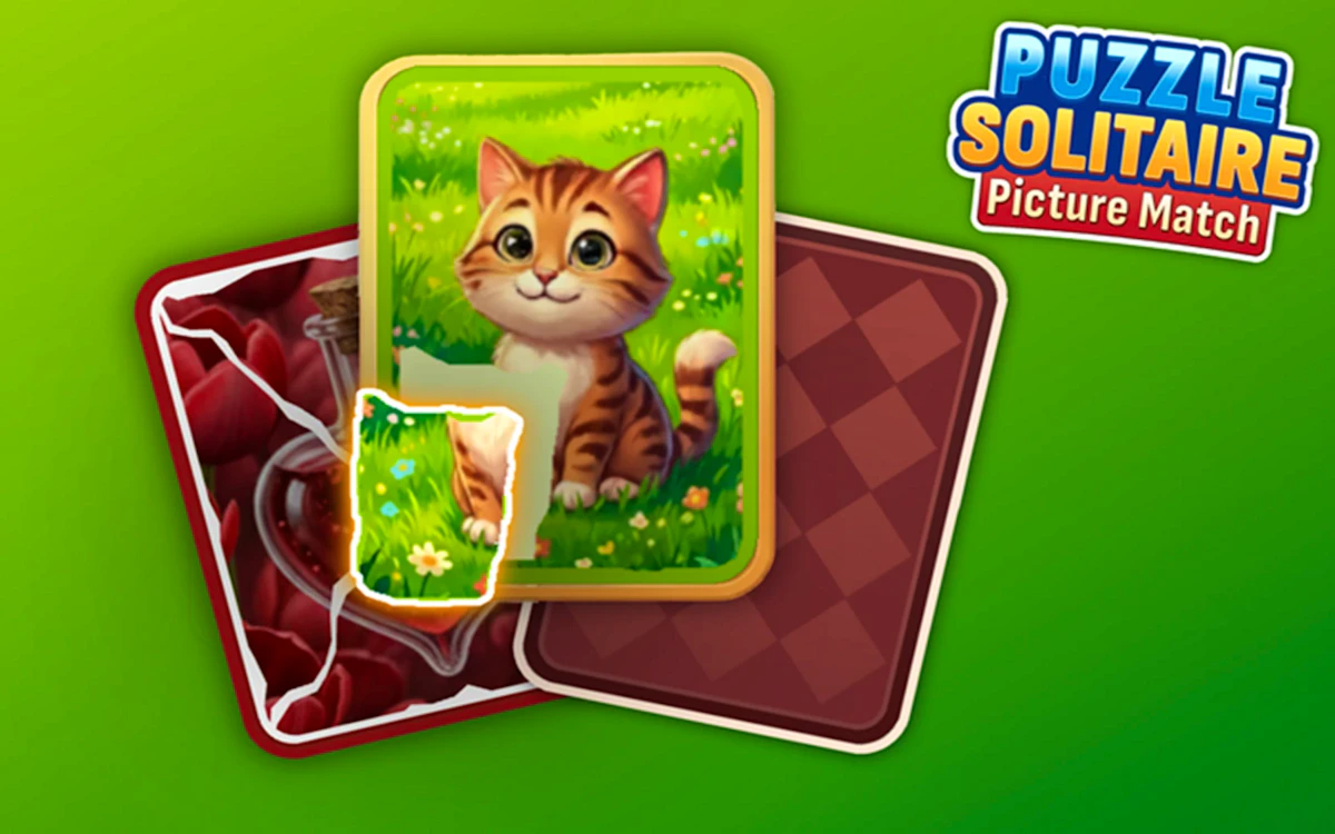 Puzzle Solitaire Picture Match game thumbnail