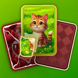 Puzzle Solitaire Picture Match