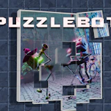Puzzlebot