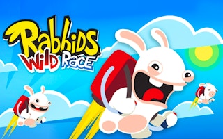 Rabbids Wild Race game cover