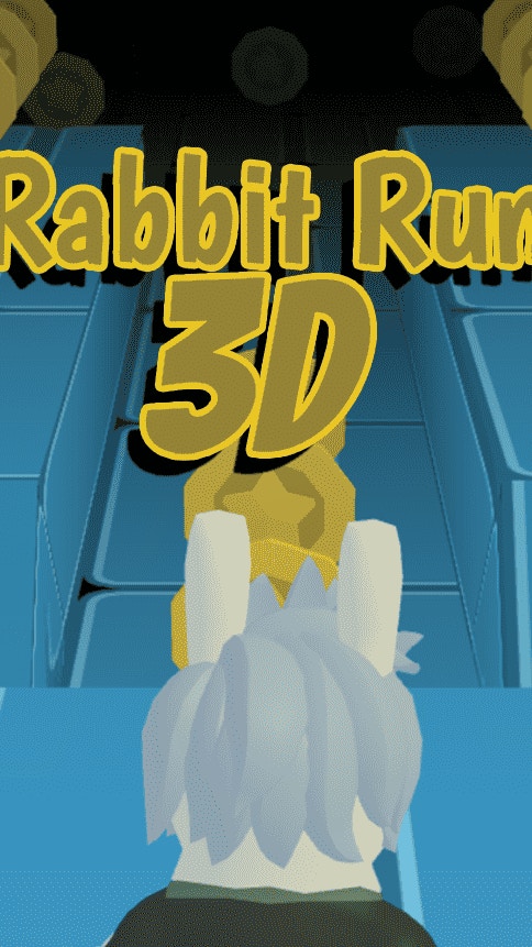 Rabbit Run 3D