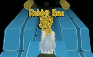 Rabbit Run 3D