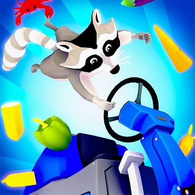 Raccoon Retail By Gamepix