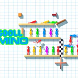 Ragdoll Domino